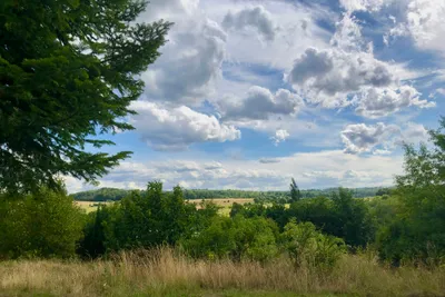 Camping Groß-Eichen - Blick in die Natur in der Umgebung des Campingplatzes