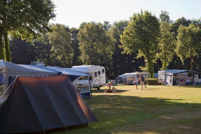 Camping Heidepark - Zeltplatz und Wohnwagenstellplatz auf grüner Wiese auf dem Campingplatz