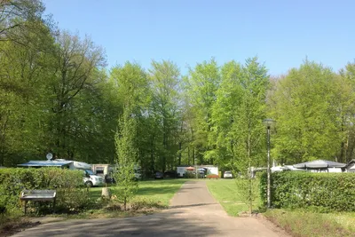 Camping Het Bosbad - schattiger Wohnmobilstellplatz auf dem Campingplatz 