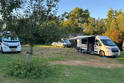 Camping Hiddema State - Standplatzwiese auf dem Campingplatz