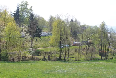 Camping Hochrhoen - Platzuebersicht.JPG