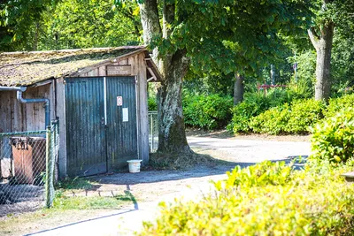 Camping Hoeve aan den Weg - Camping im Grünen
