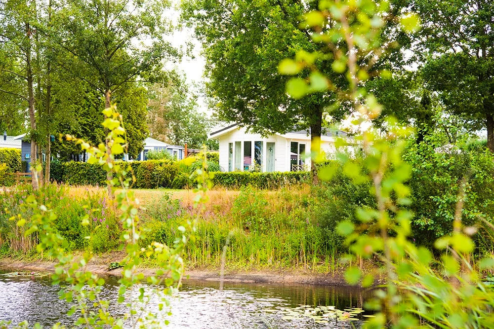 Camping Hoeve aan den weg