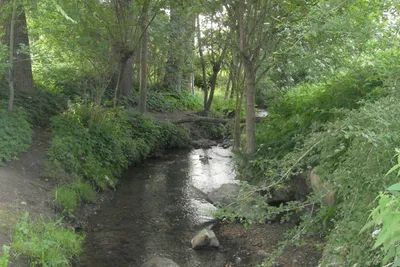 Hoeve de Gastmolen - Idyllische Natur in der Umgebung des Campingplatzes