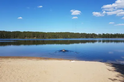 Camping Hossan Lumo  -  Camper im Badesee am Campingplatz
