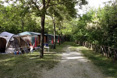 Camping Il Collaccio - Weg auf dem Campingplatz mit Stellplätzen unter Bäumen an der Seite