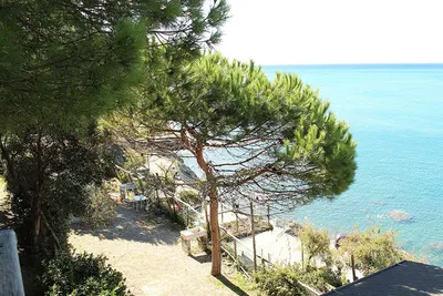 Camping Il Rospo - Bild 2