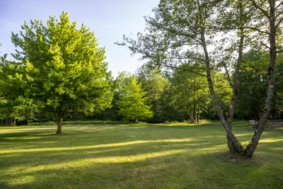 Camping Ile De Boulancourt - Bild 4