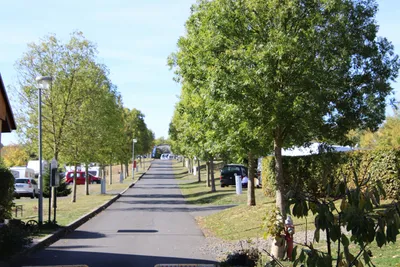 Camping in Naumburg  - Gehweg auf dem Stellplatz vom Campingplatz im Grünen