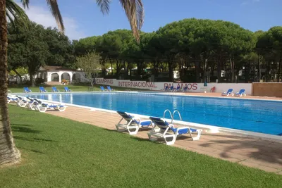 Camping Internacional Palamós  -  Poolbereich vom Campingplatz mit Liegestühlen in der Sonne im Grünen