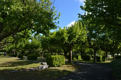 Camping International - Bild 2