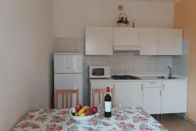 241329207.jpg