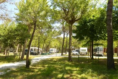 Viareggio Family Collection - Bild 2