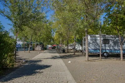 Camping Iznate - Allee mit Stellplätzen an den Seiten