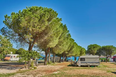 Camping Kanegra  -  Wohnwagen- und Zeltstellplatz zwischen Bäumen auf dem Campingplatz