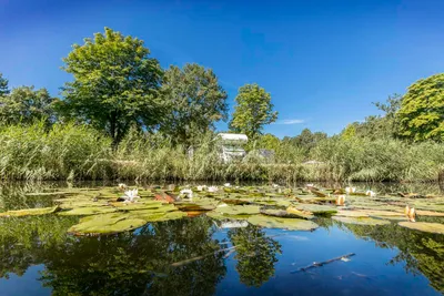 Familiecamping Klein Canada  Camping Klein Canada - Teich auf dem Campingplatz
