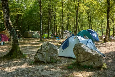 Camping Koren -  Campingbereich für Zelte im Schatten der Bäume