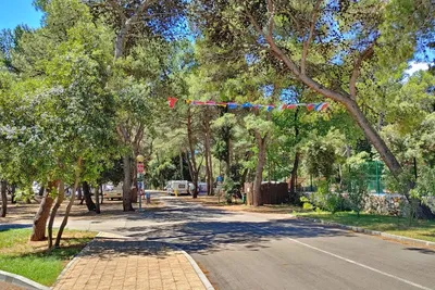 Camping Kozarica - Standplätze auf dem Campingplatz