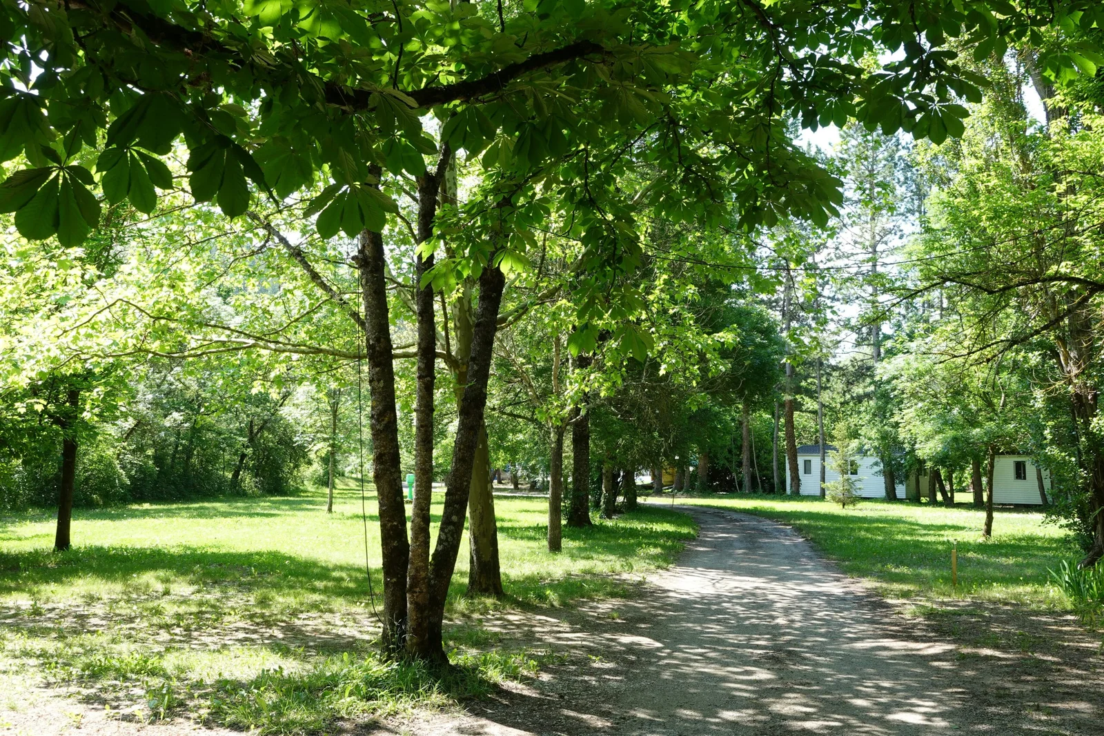 Camping L'ondine De Provence