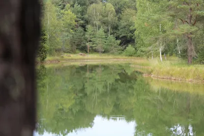 Camping L'étang Bleu - Bild 2
