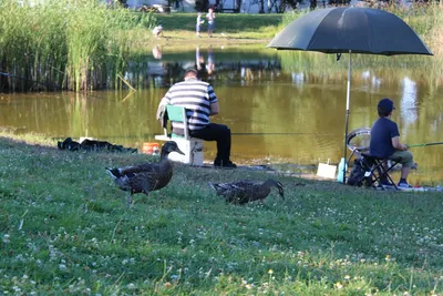 Camping De L'étang Du Pays Blanc - Bild 2