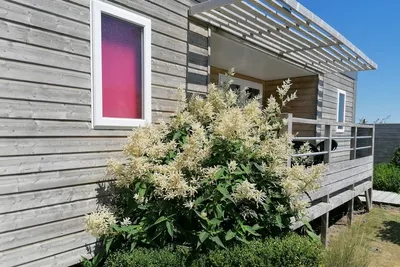 Camping La Baie Des Veys