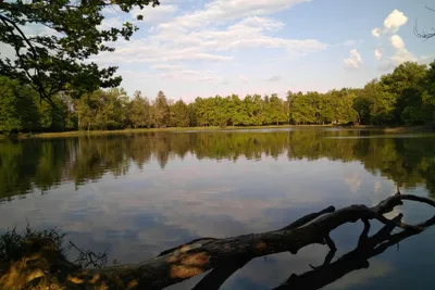 Camping la Bissera - Teich