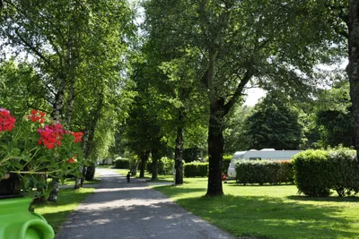Camping La Ferme du Lac - Allee auf dem Campingplatz mit Stellplätzen an beiden Seiten