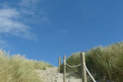 Camping La Forêt