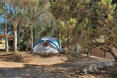 Camping La Liccia - Bild 4