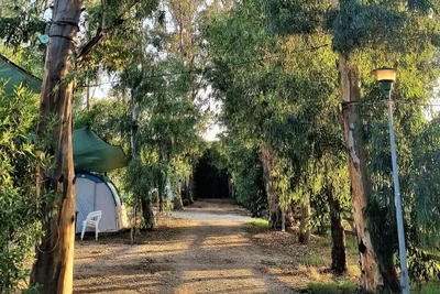 Camping la Naranja - Stellplätze und Zeltplätze im Schatten der Bäume