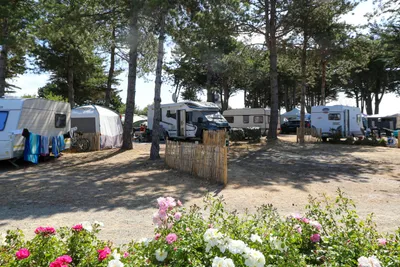 Camping La Renaudière - Bild 2