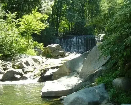 Camping La Salendrinque