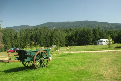 Camping La Vallée Verte - Blick auf den Campingplatz im Grünen