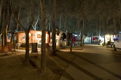 Camping La Vecchia Torre  -  Wohnwagen- und Zeltstellplatz vom Campingplatz zwischen Bäumen am Abend