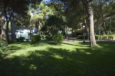 Camping La Vecchia Torre  -  Stellplatz vom Campingplatz zwischen Bäumen auf grüner Wiese