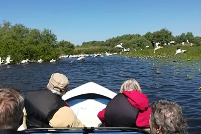 Camping Lac Murighiol - Gäste auf Boot auf dem Fluss auf dem Campingplatz