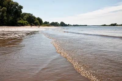 Camping Land an der Elbe - Blick auf das Ufer