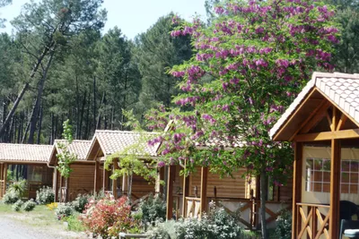 Camping Landes Oceanes - Bild 2