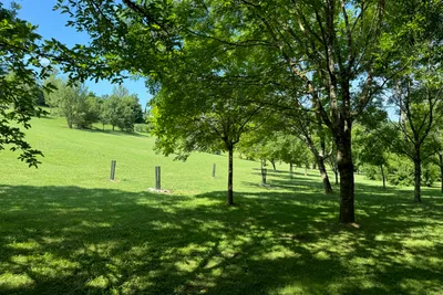 Camping Latapie - Blick auf die Standplätze auf der Wiese