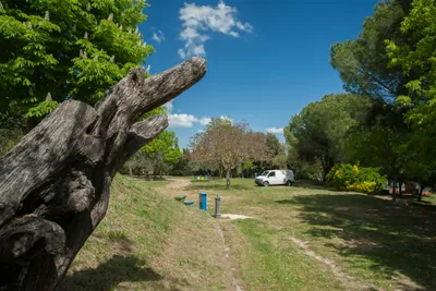 Camping Le Balze - Stellplätze auf der Wiese