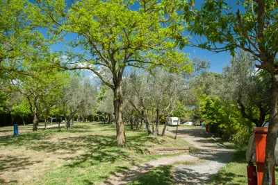 Camping Le Balze - Blick auf die Stellplätze auf dem Campingplatz