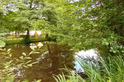 Flower Camping Beauchene - Bild 2