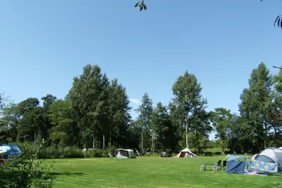 Camping Le Bois Coudrais - Standplatzwiese auf dem Campingplatz