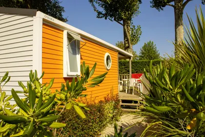 Camping Le Bois Verdon - Bild 4
