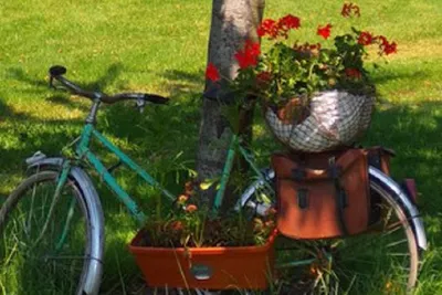 Camping Le Creulet