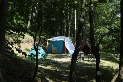 Camping Le Domaine Du Marais - Standplatz im Grünen auf dem Campingplatz