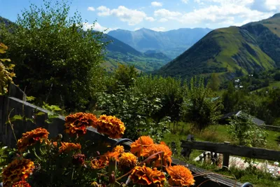 Camping Le Domaine Du Trappeur - Bild 3