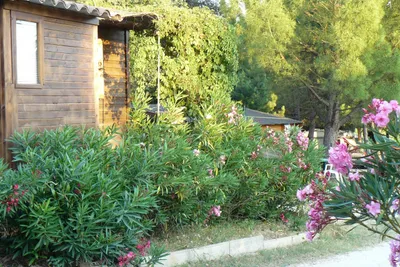 Camping Le Moulin à Vent