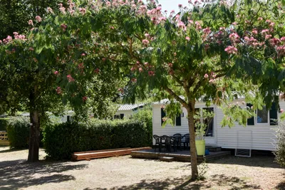 Camping Le Moulin Du Roy - Bild 4